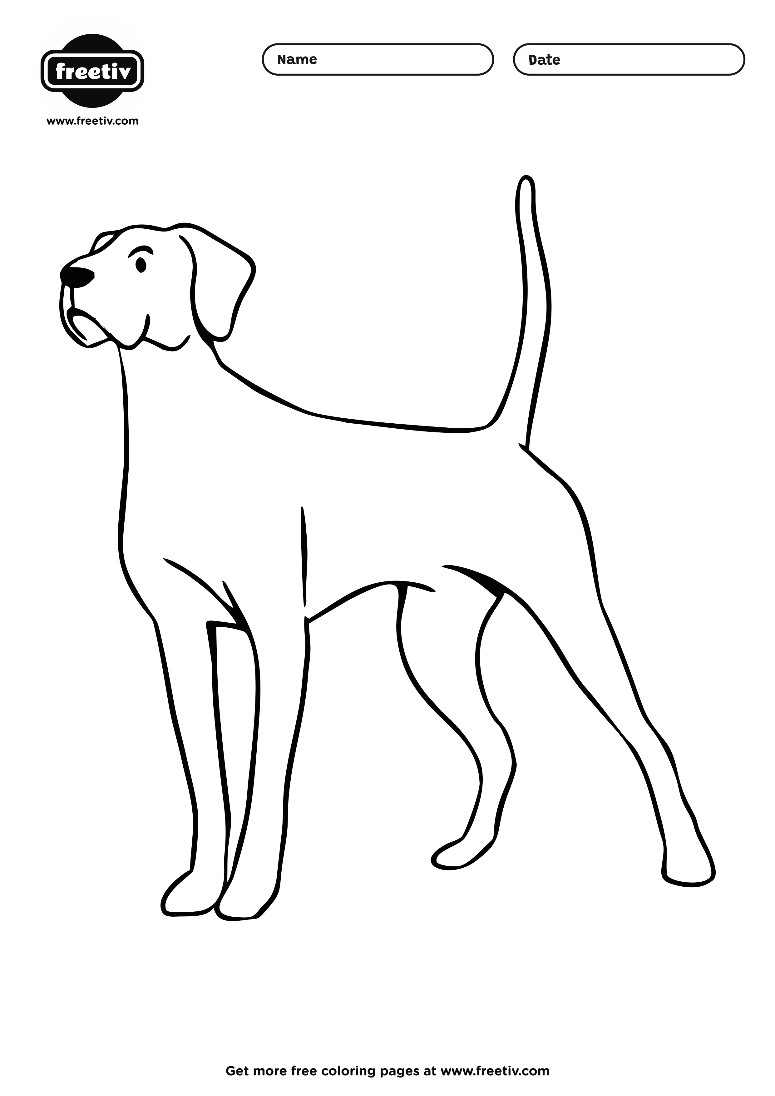 Dog-03